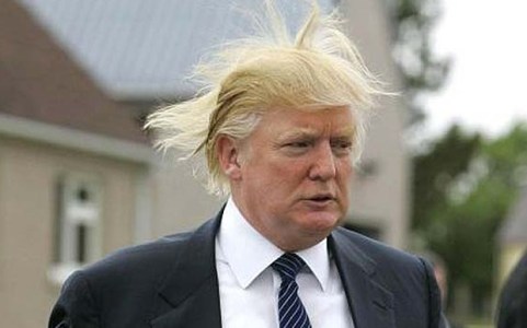 trump hair