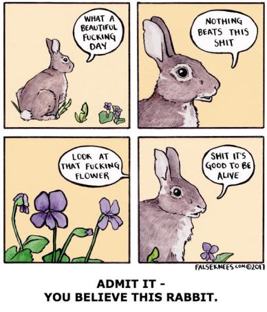 False Knees - Rabbit Comic (with Caption).jpg
